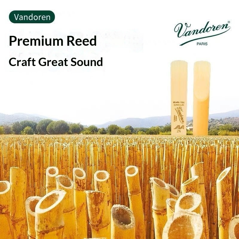 Hot Sales Vandoren Groene Doos - Musical Instrument Euphonium recensie en prijs