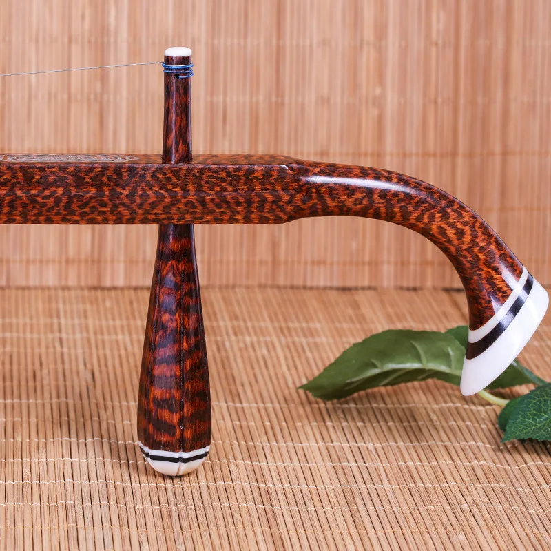 Chinese twee snaren viool prof - Erhu Violin Chinese recensie en prijs